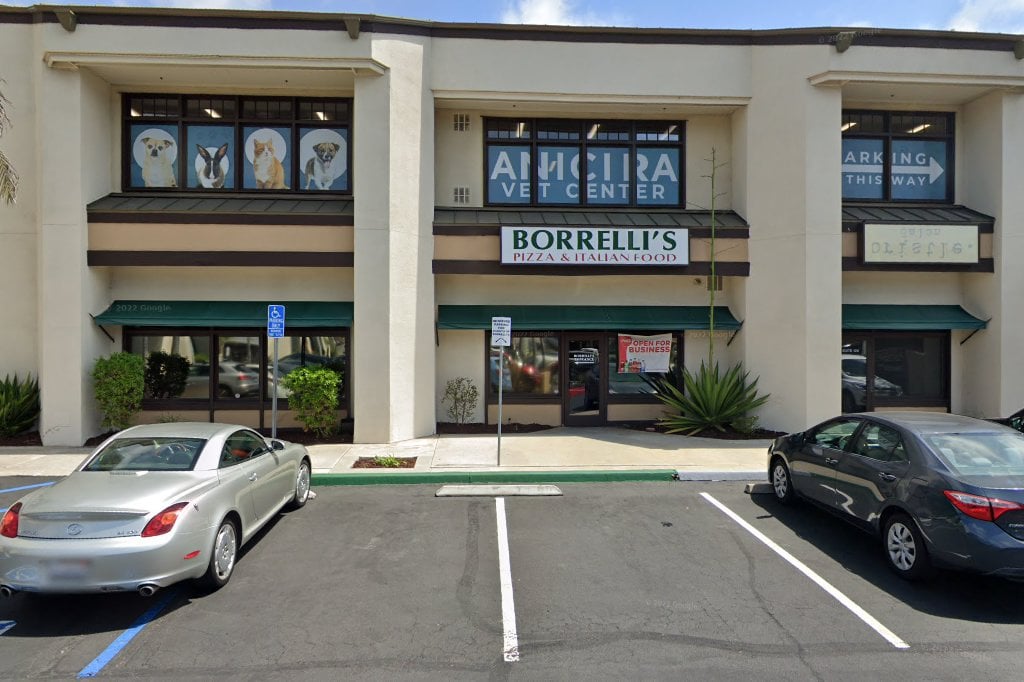 All Pets Animal Hospital