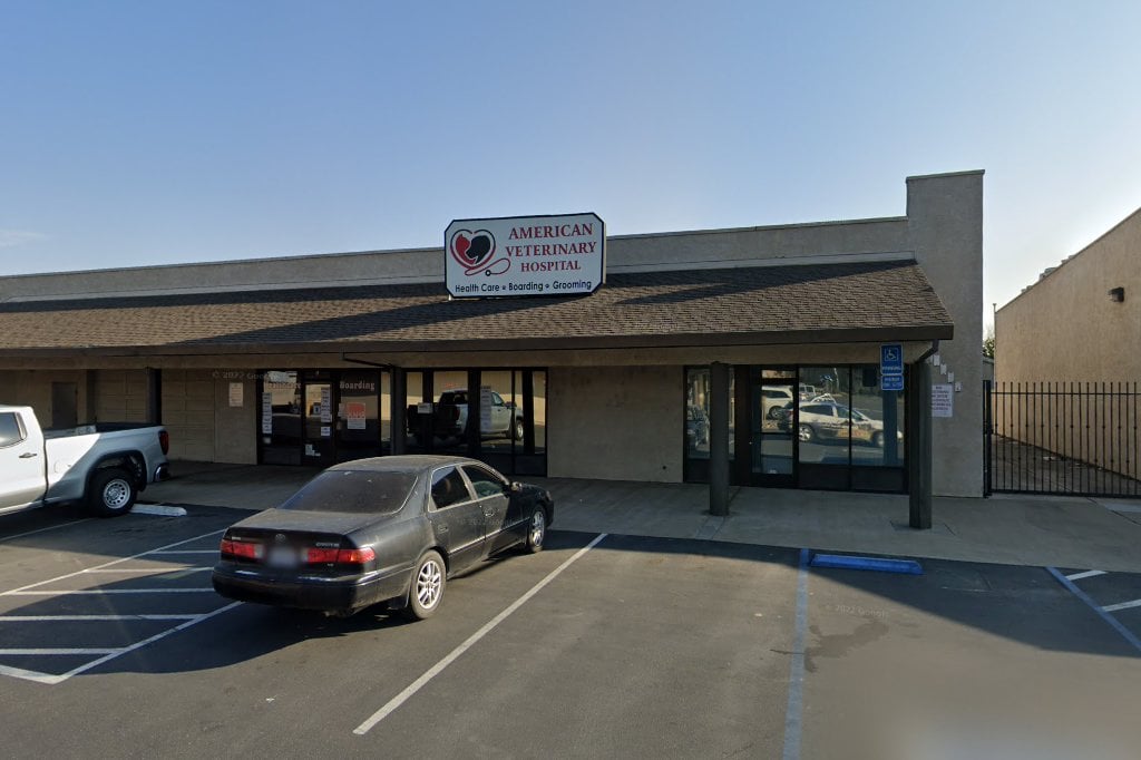 American Veterinary Hospital