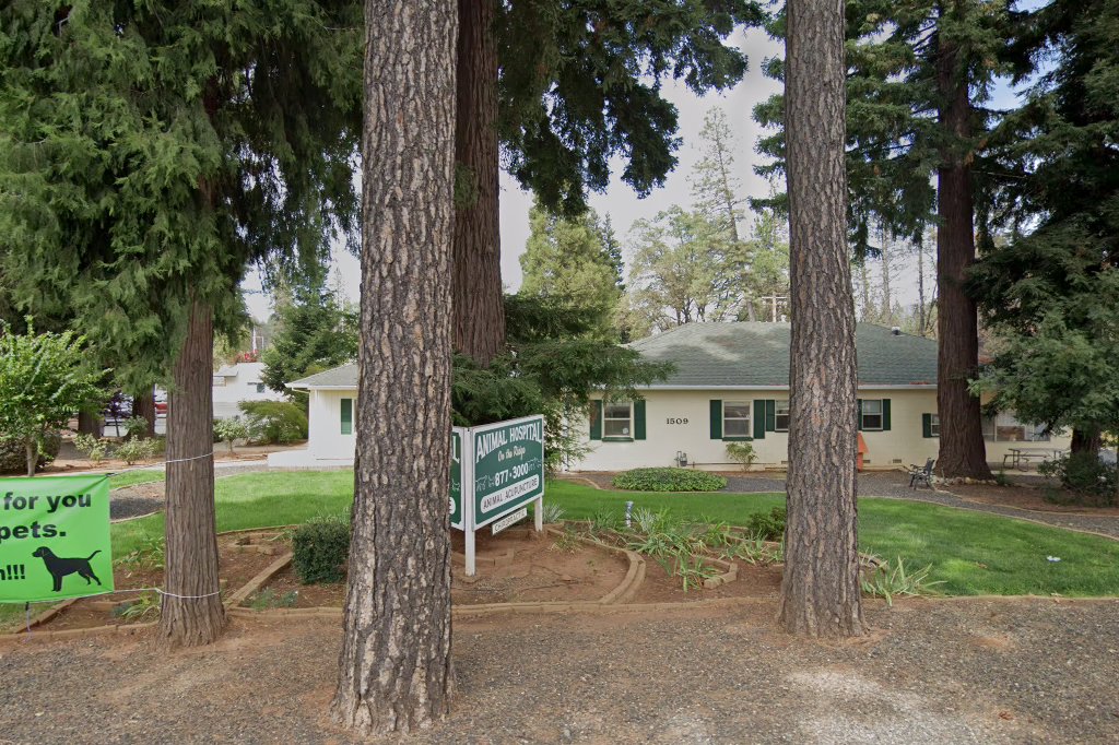 Animal Hospital On The Ridge
