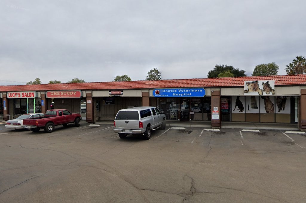 Bastet Veterinary Hospital