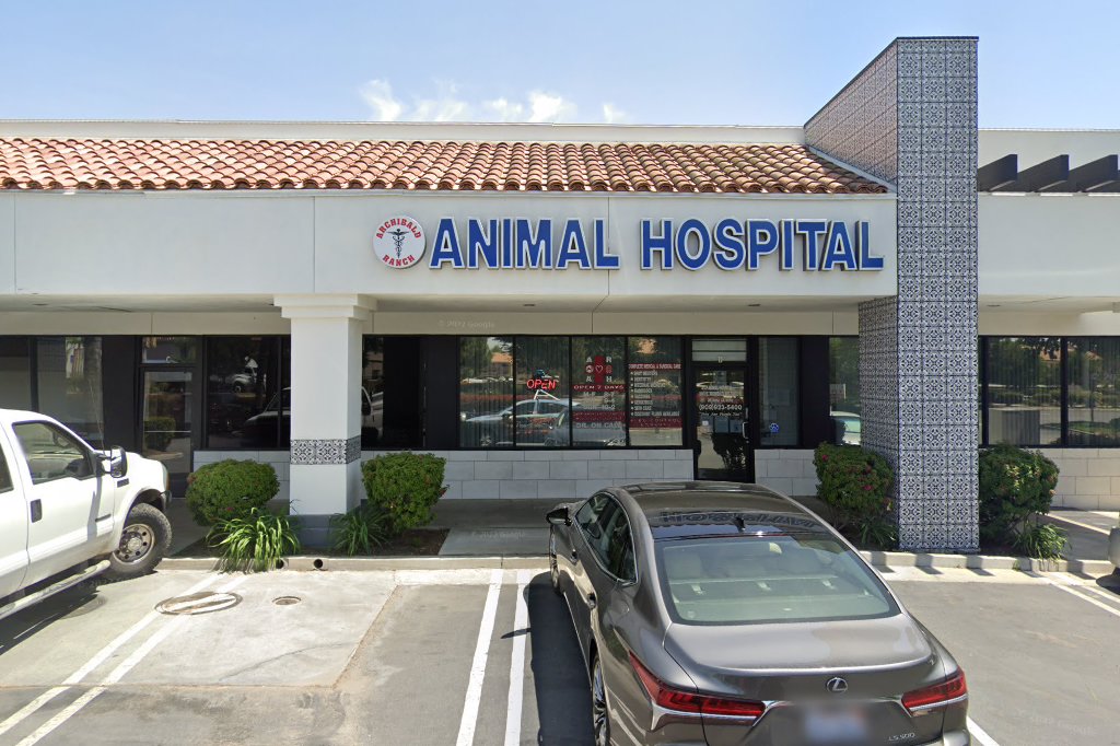 AR Animal Hospital