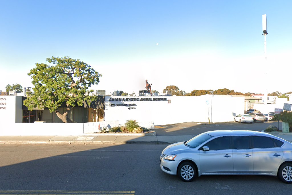 Avian & Exotic Animal Hospital