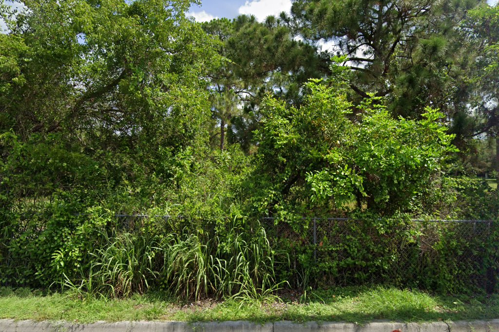 Second Chance for Greyhounds