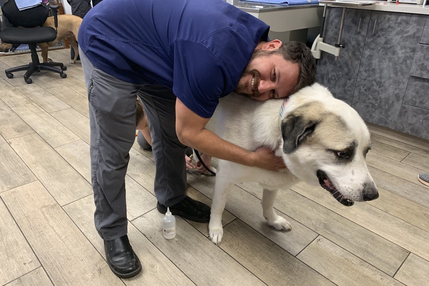 Broadway Veterinary Hospital