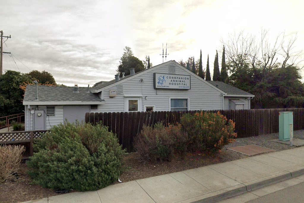 Castro Valley Companion Animal Hospital
