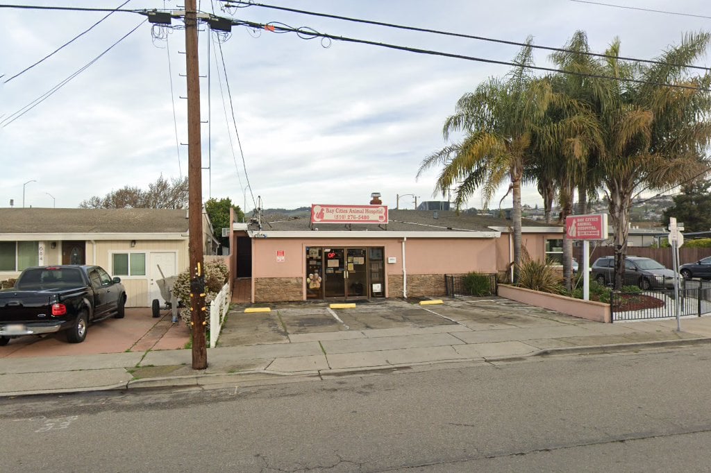 Bay Cities Animal Hospital