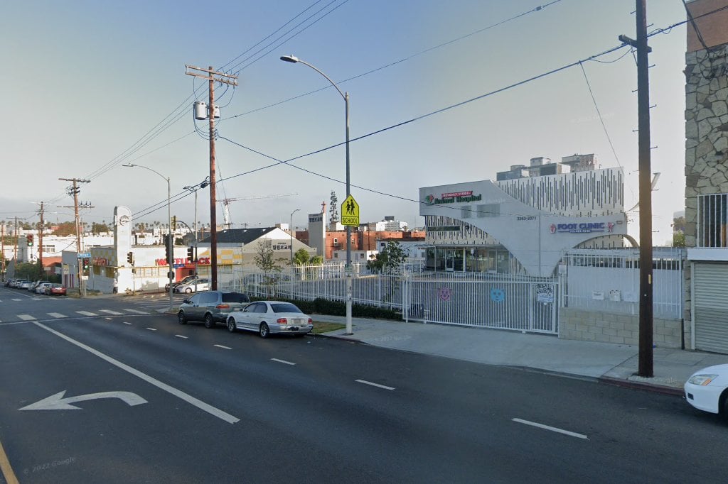 Beverly Virgil Animal Hospital