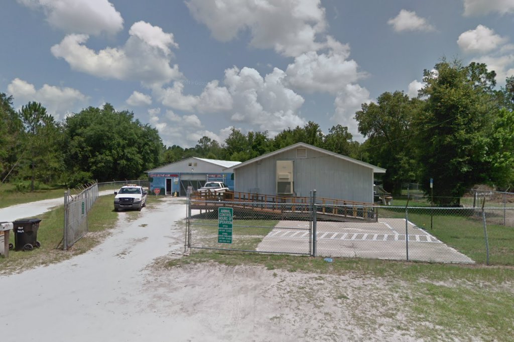 Taylor County Animal Control