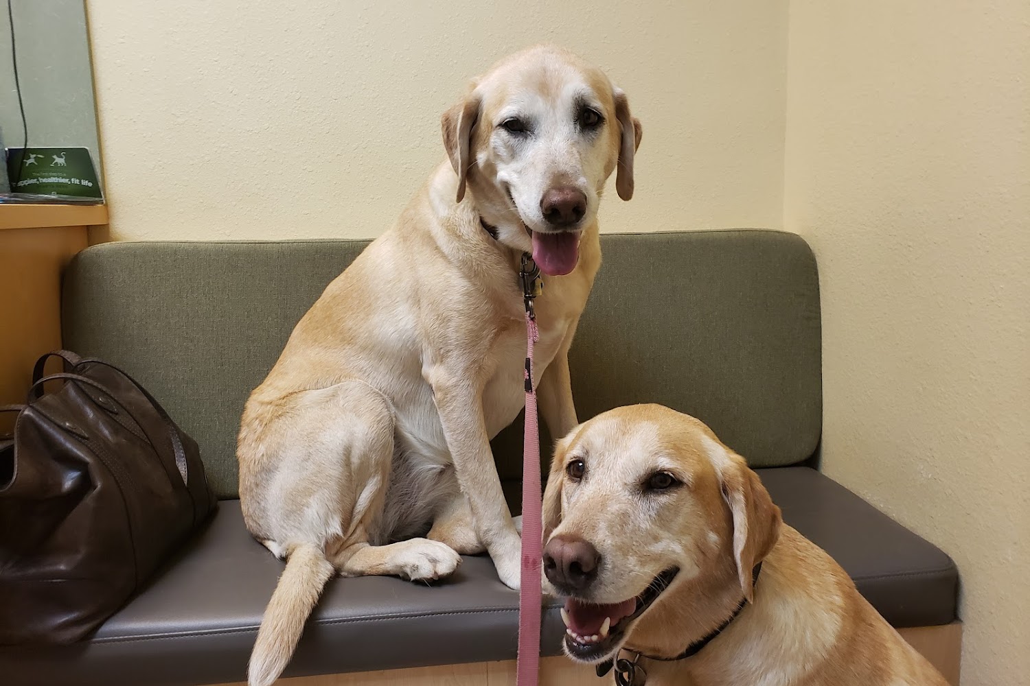 Butte Oroville Veterinary Hospital