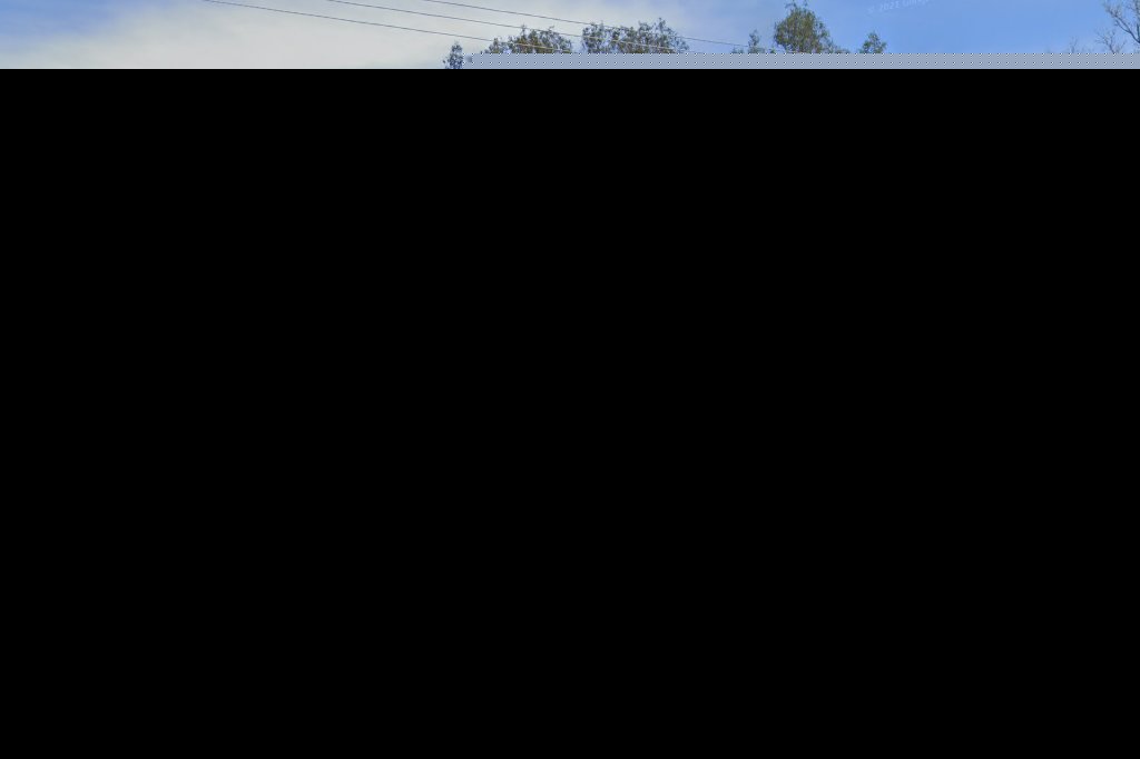 Dent Animal Hospital