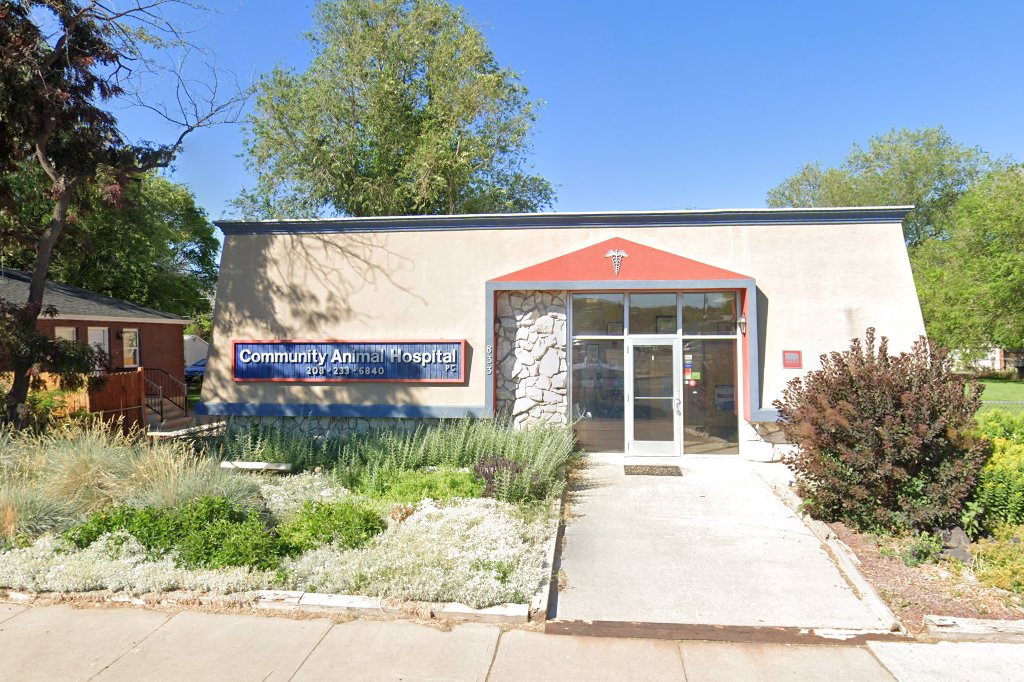 Community Animal Hospital