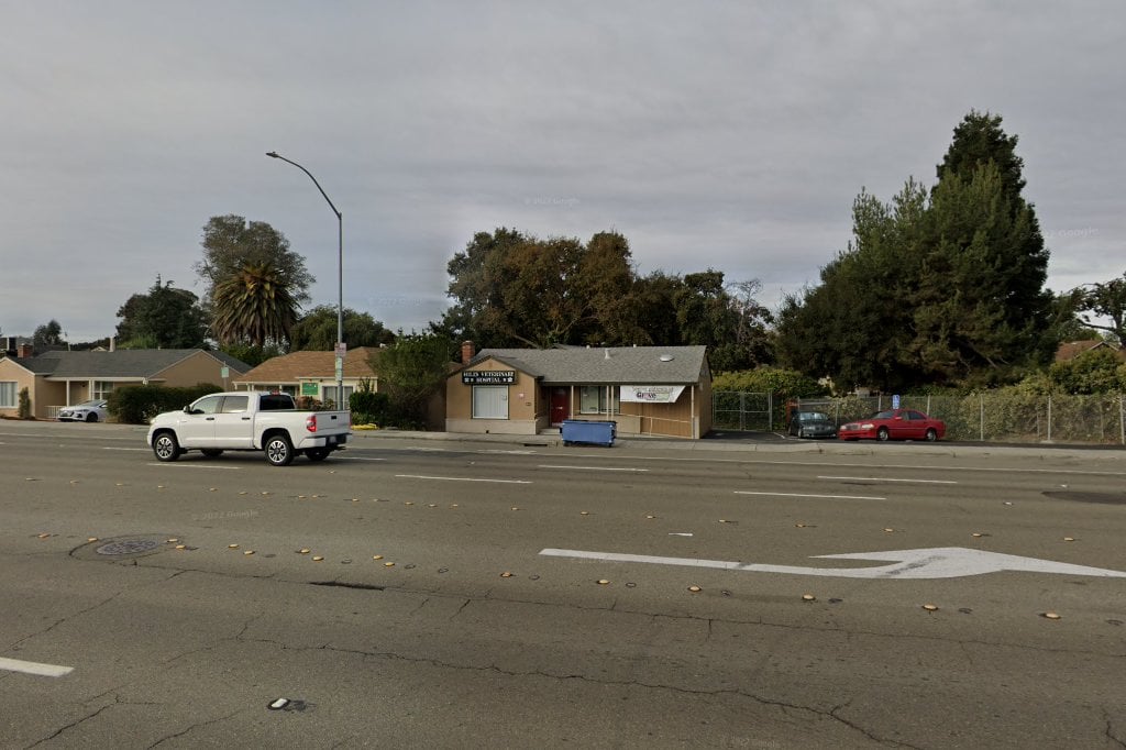 Hills Veterinary Hospital