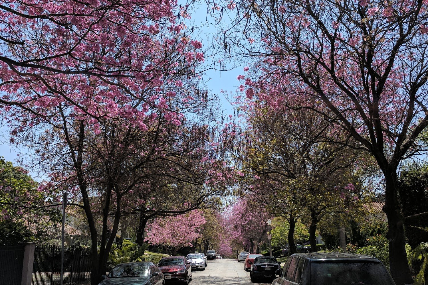 Gateway Animal Hospital