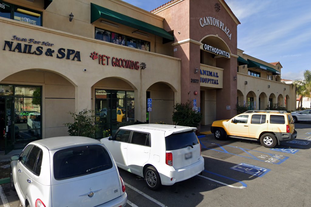 Lake Elsinore Animal Hospital