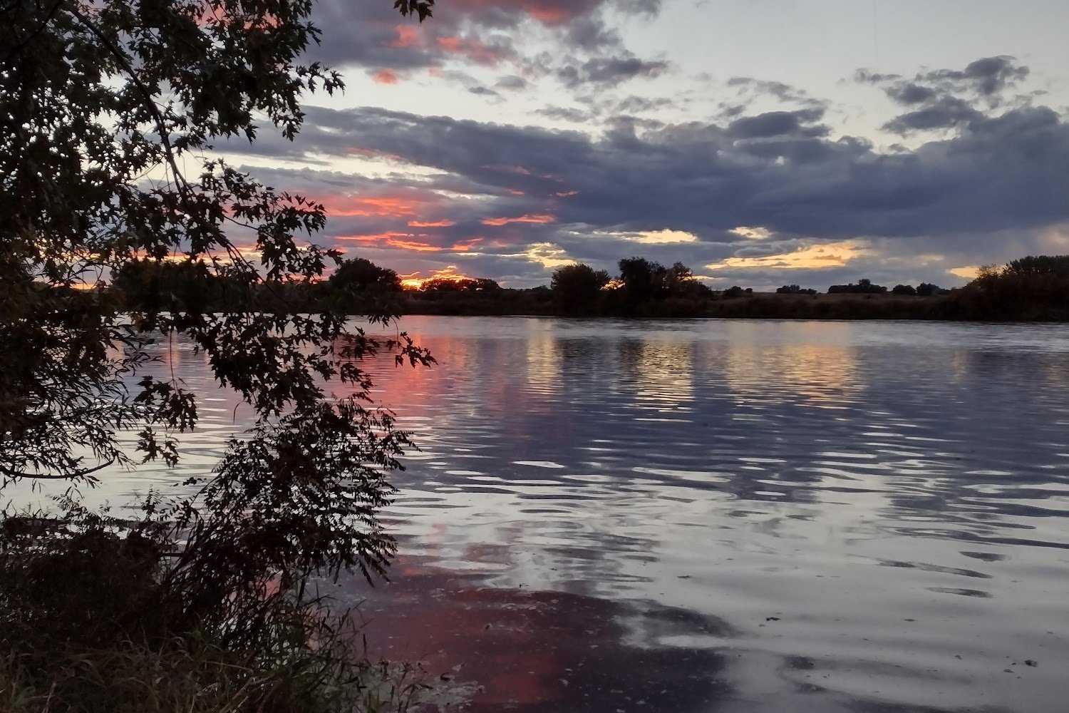 2nd Chance Animal Shelter, Inc.