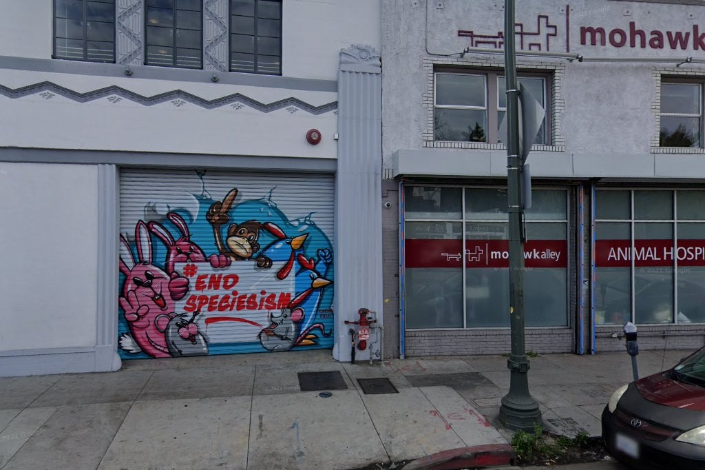 Mohawk Alley Animal Hospital