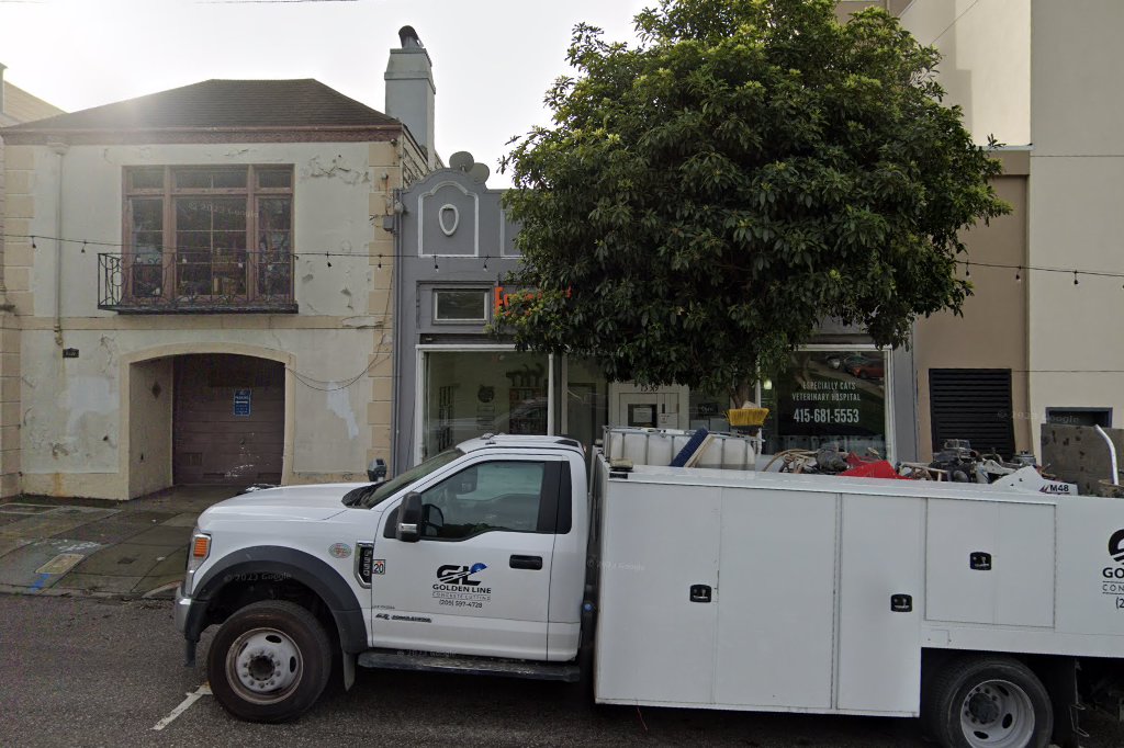 Especially Cats Veterinary Hospital