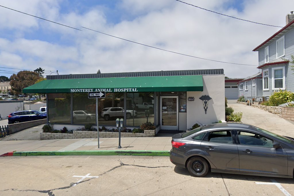 Monterey Animal Hospital