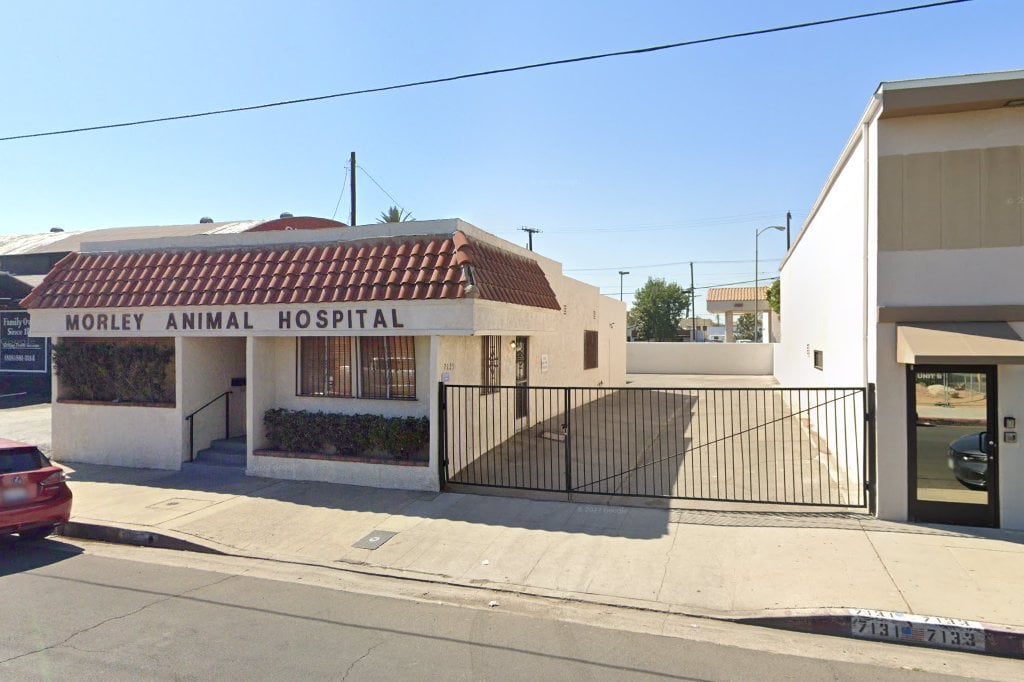 Morley Animal Hospital