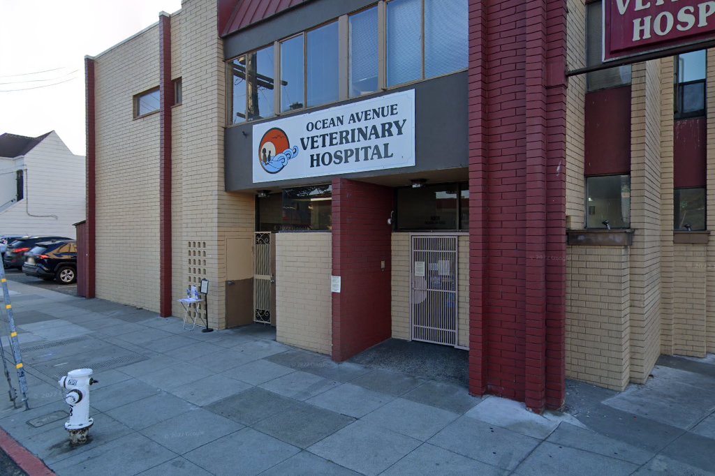 Ocean Ave Veterinary Hospital