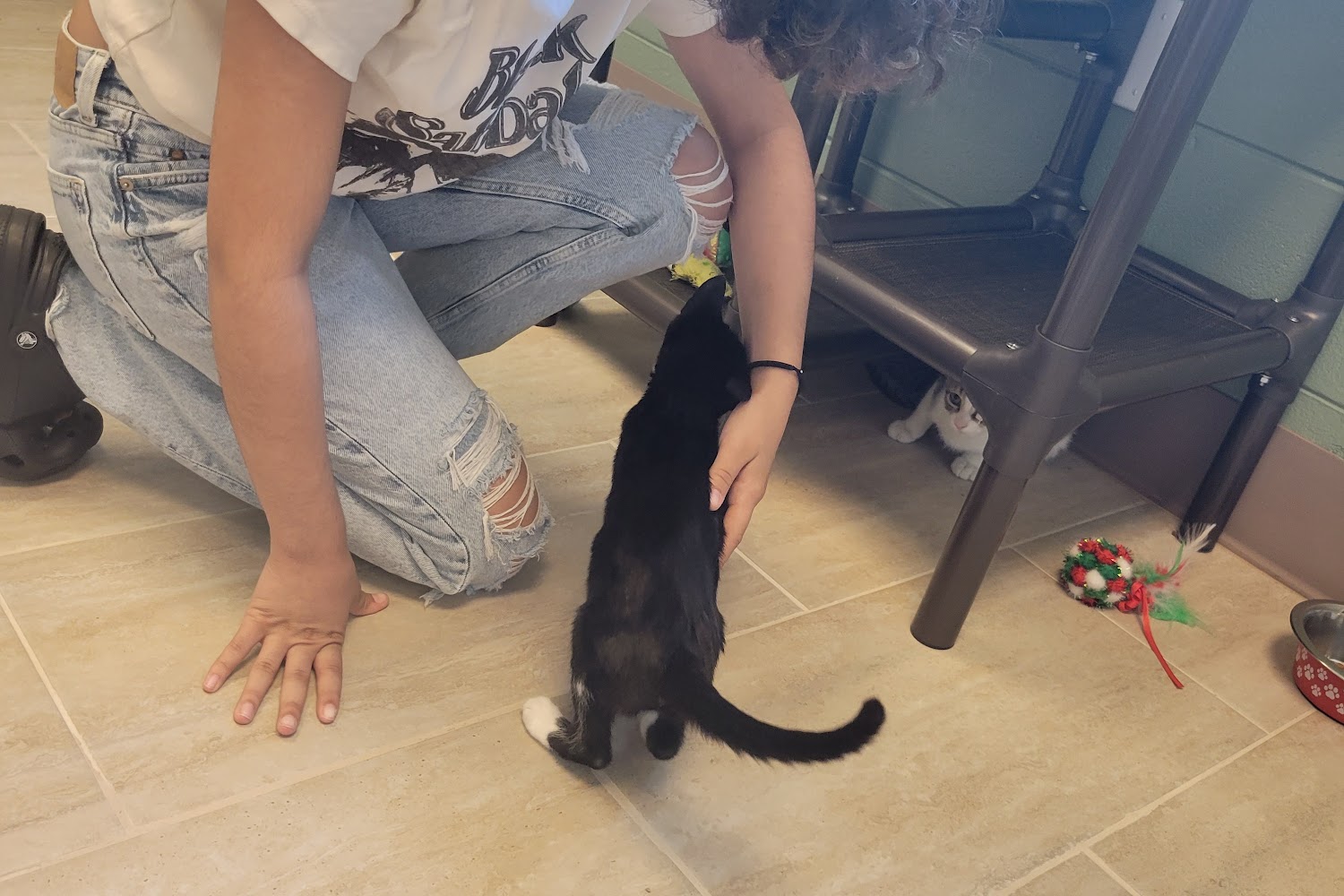 Gulf Coast Humane Society