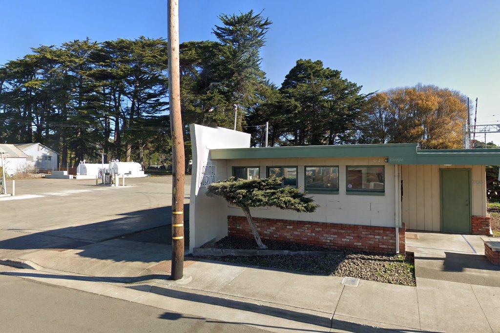 Mendocino Coast Animal Hospital