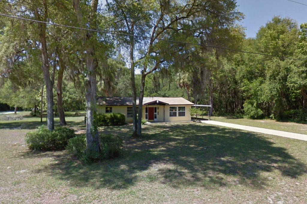 Saving Angels Dog and Cat Rescue