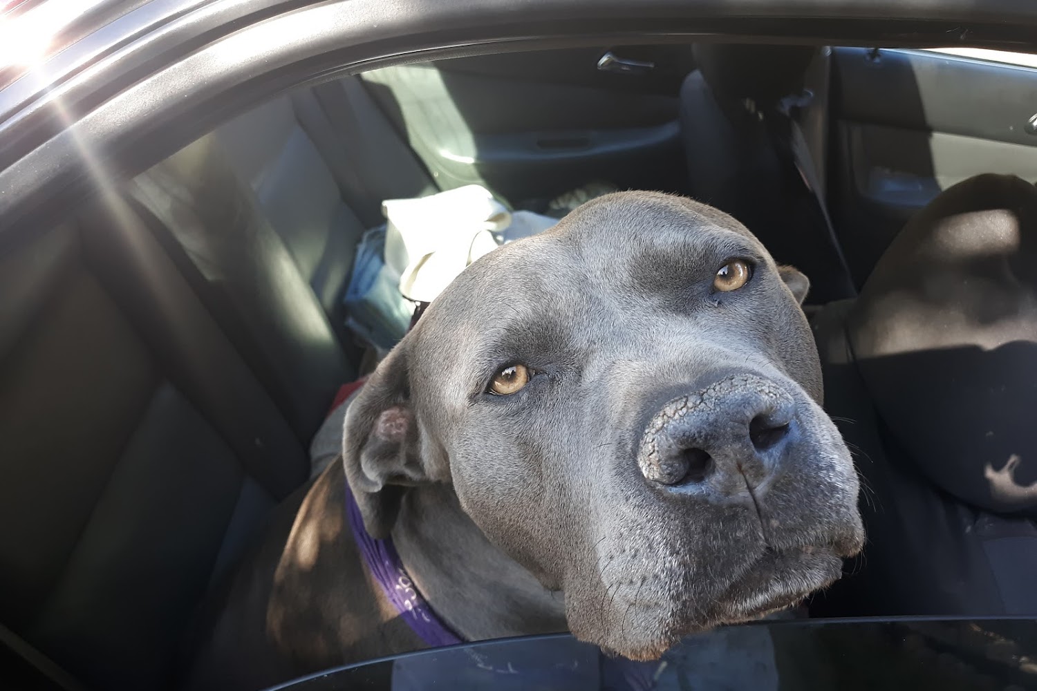 Summer Hills Veterinary Hospital