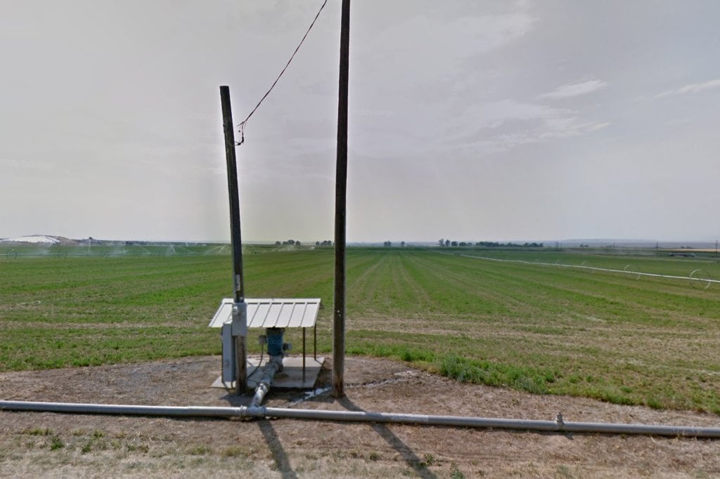 Gooding Animal Control