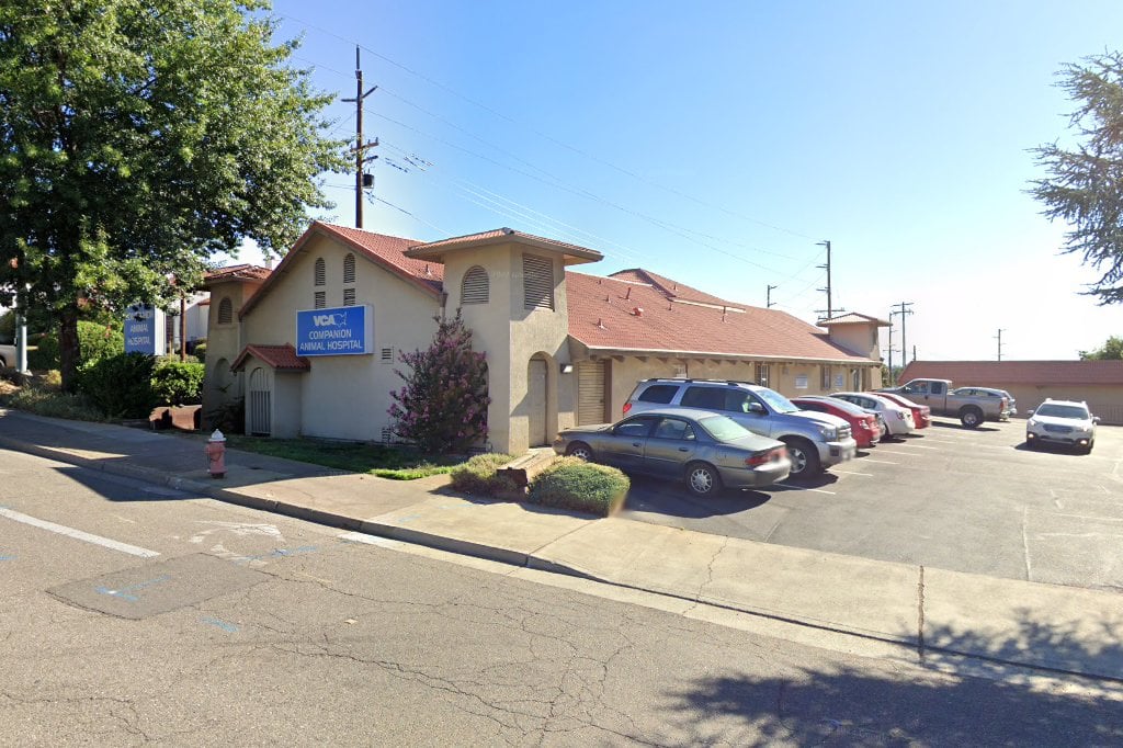 VCA Companion Animal Hospital