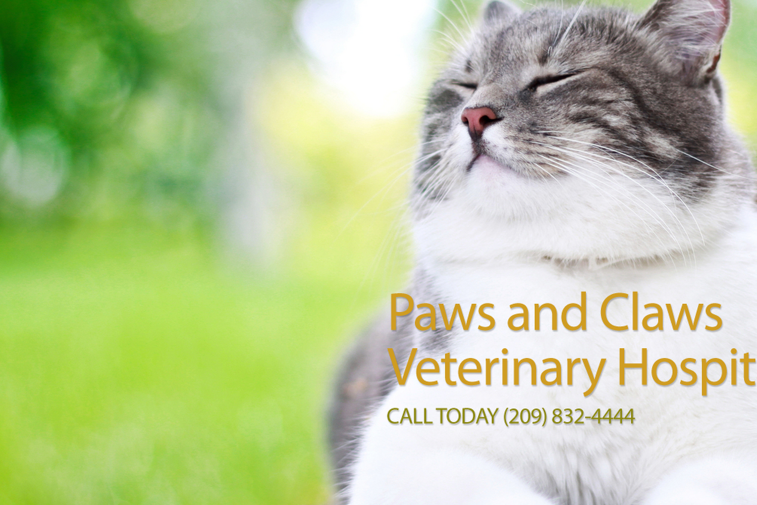 Paws & Claws Veterinary Hospital