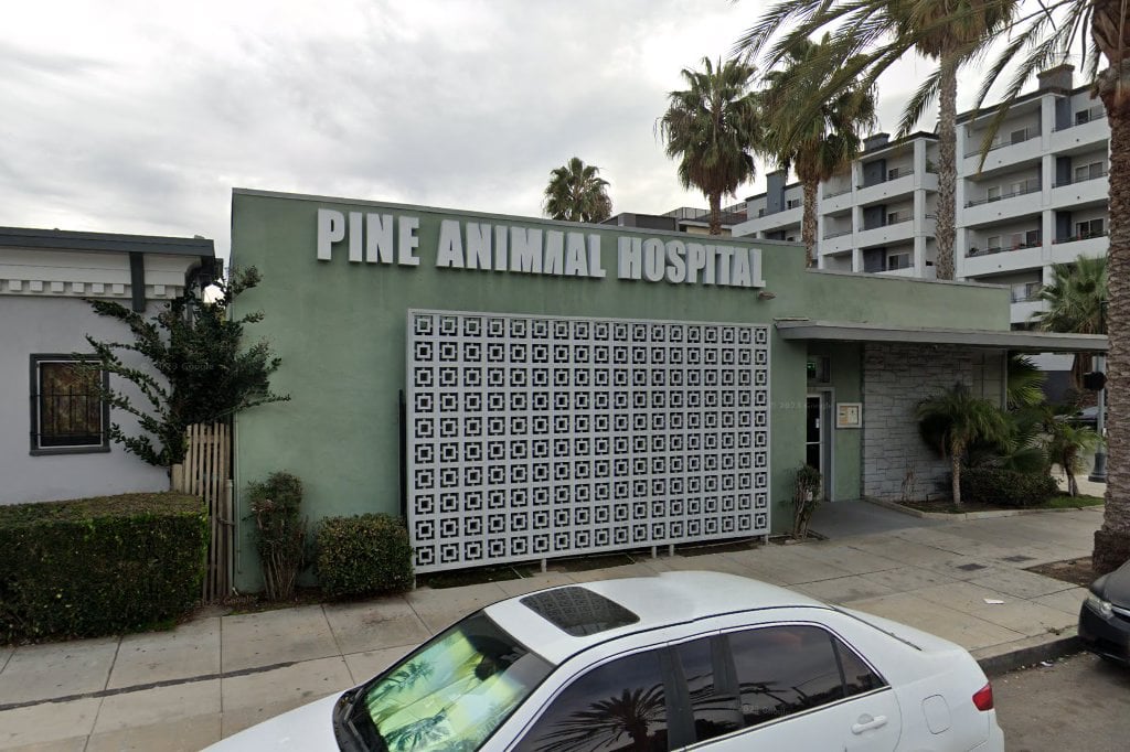 Pine Animal Hospital