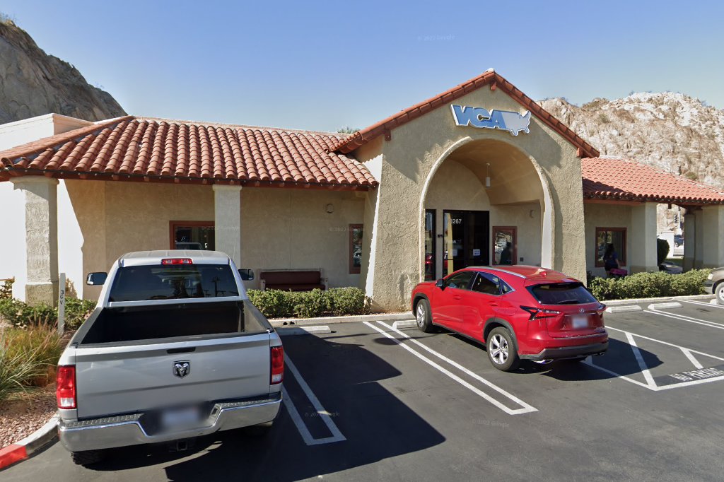 VCA All Creatures Animal Hospital