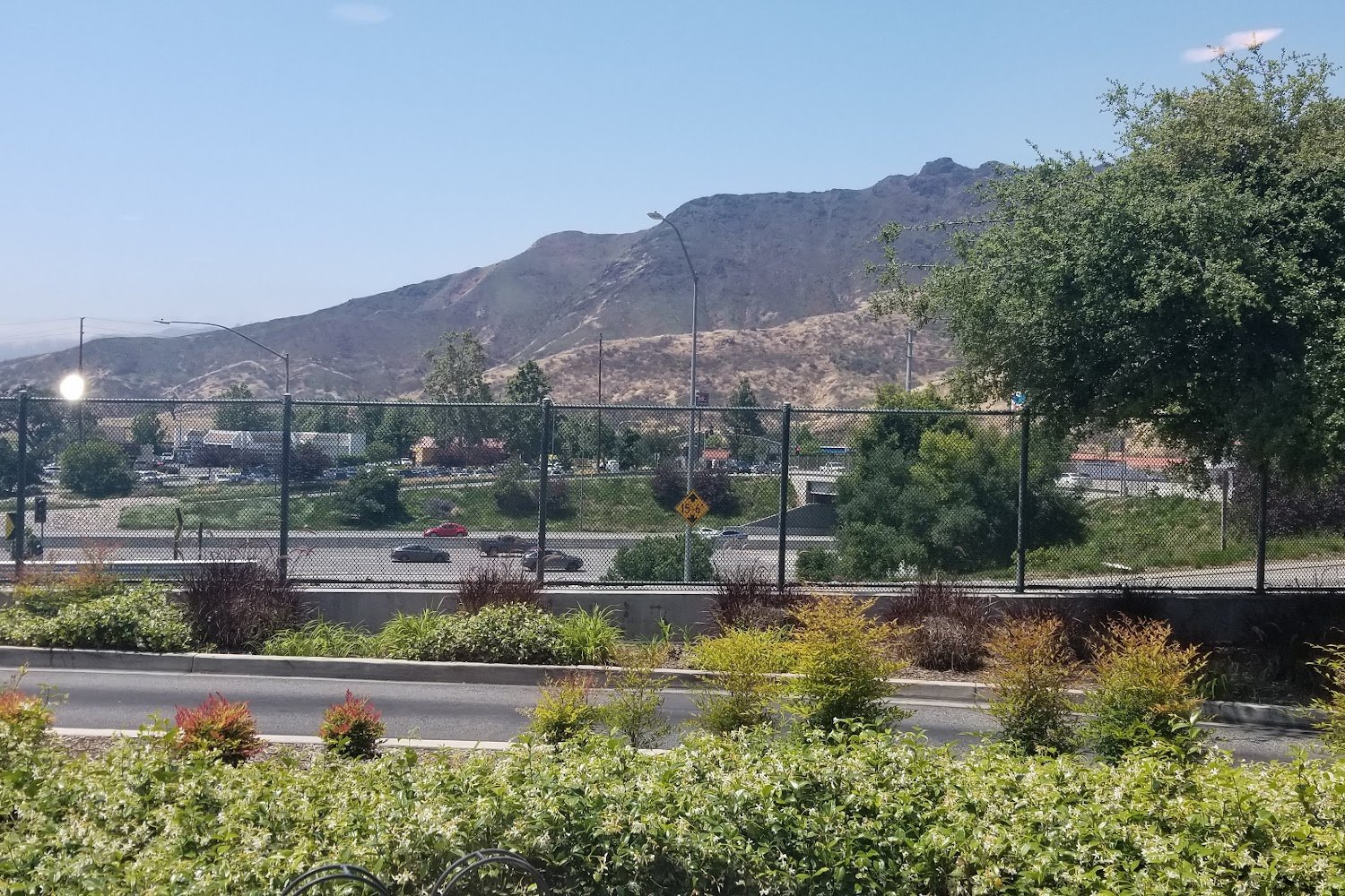 L.I.F.E. Animal Rescue