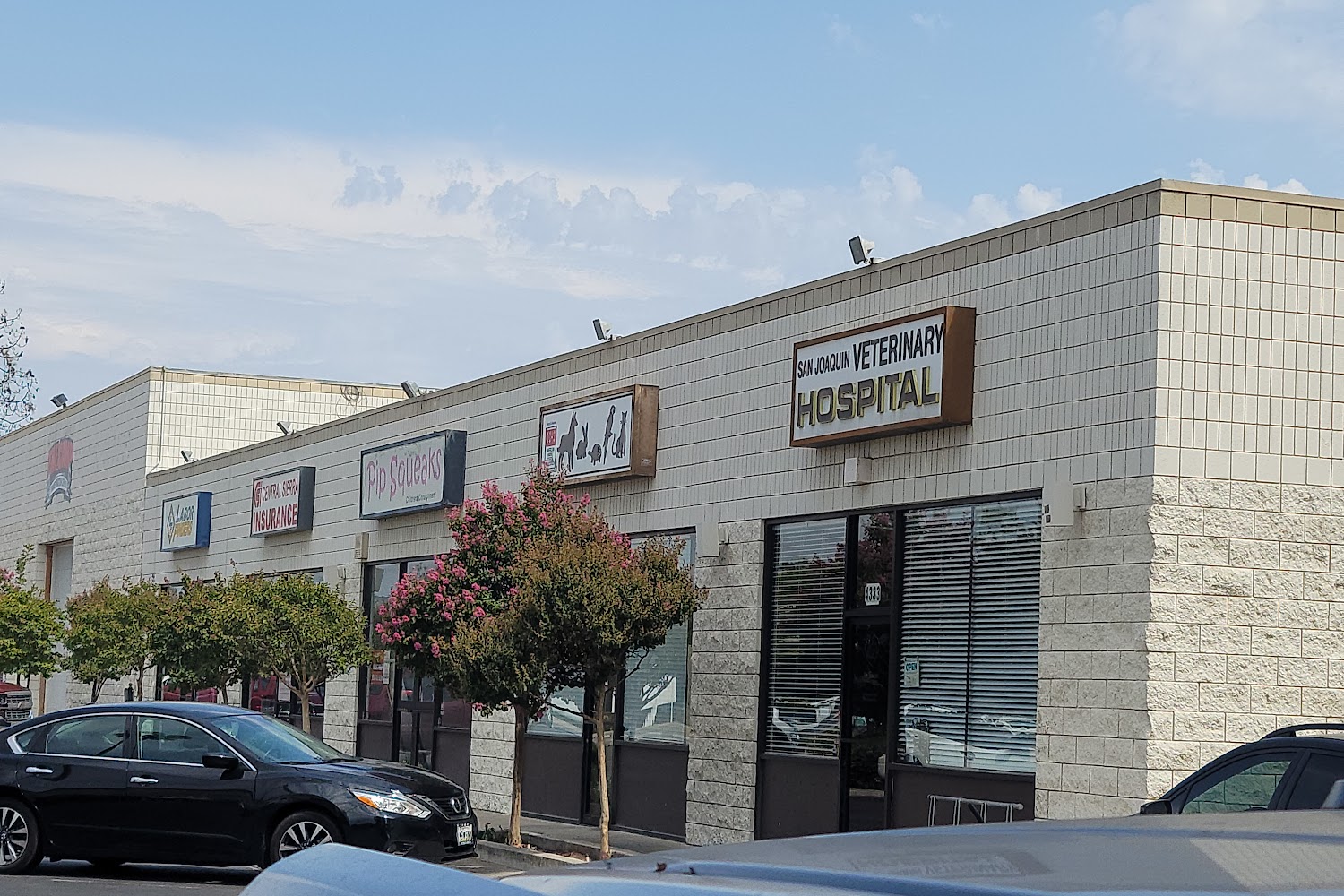 San Joaquin Veterinary Hospital