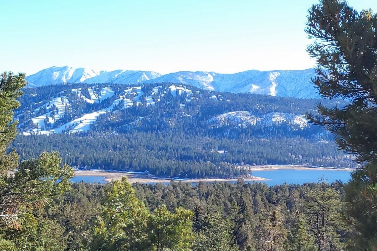 Bear Mountain Dog Rescue