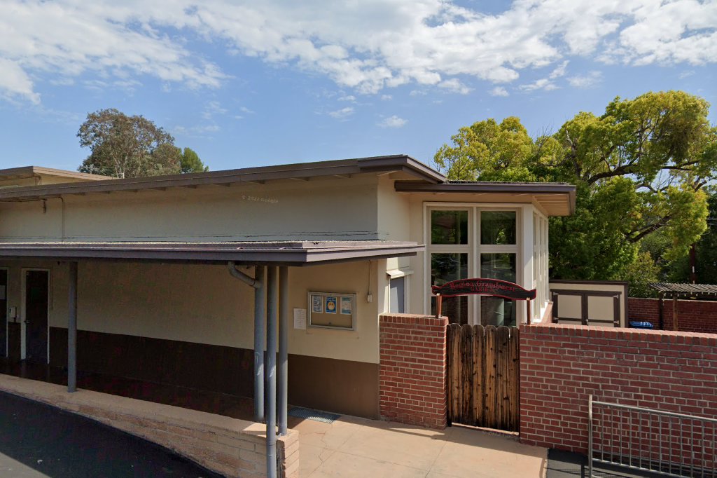 Homeless Cat Network