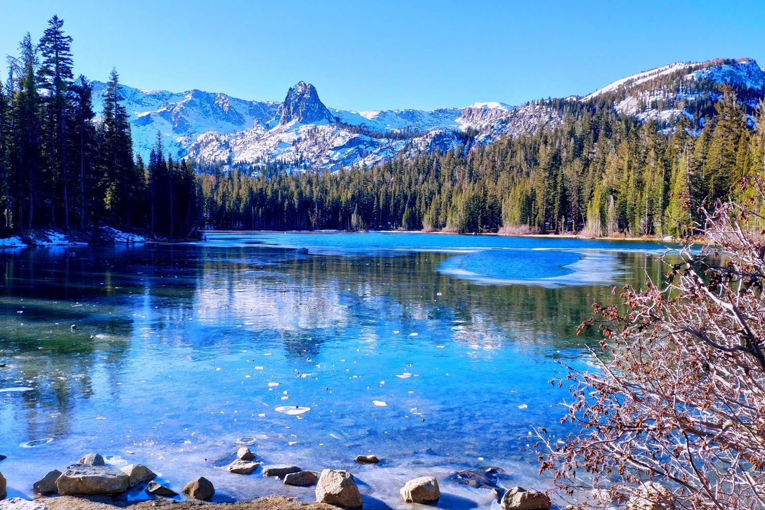 Mammoth Lakes Animal Shelter