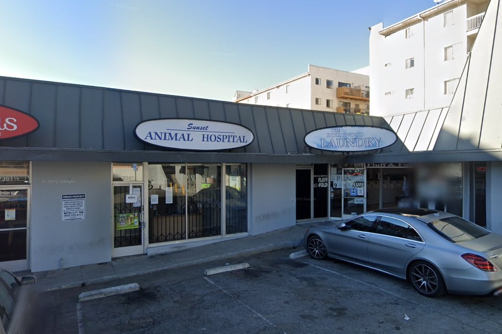 Sunset Animal Hospital