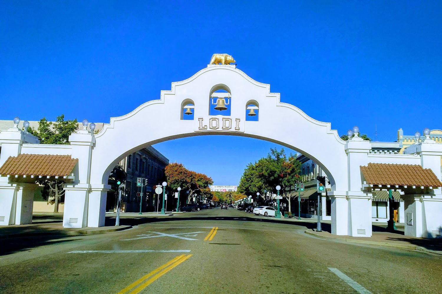 Animal Friends Connection