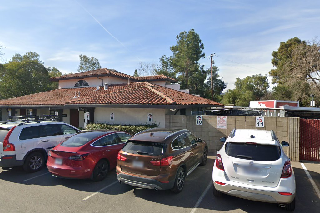 Town & Country Veterinary Hospital