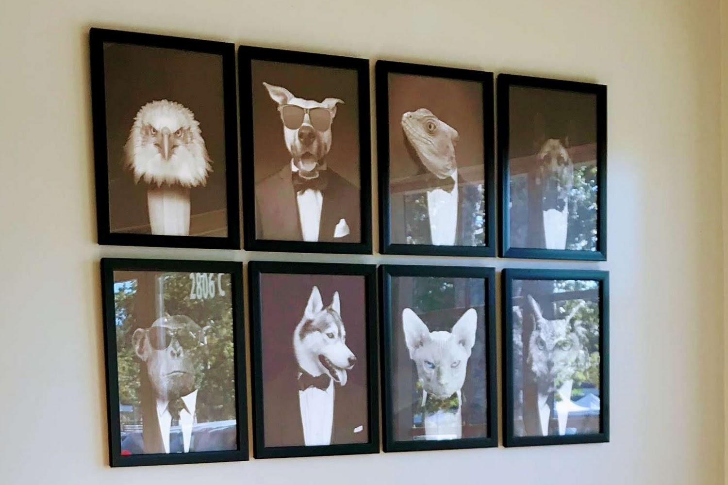 Townsgate Pet Hospital