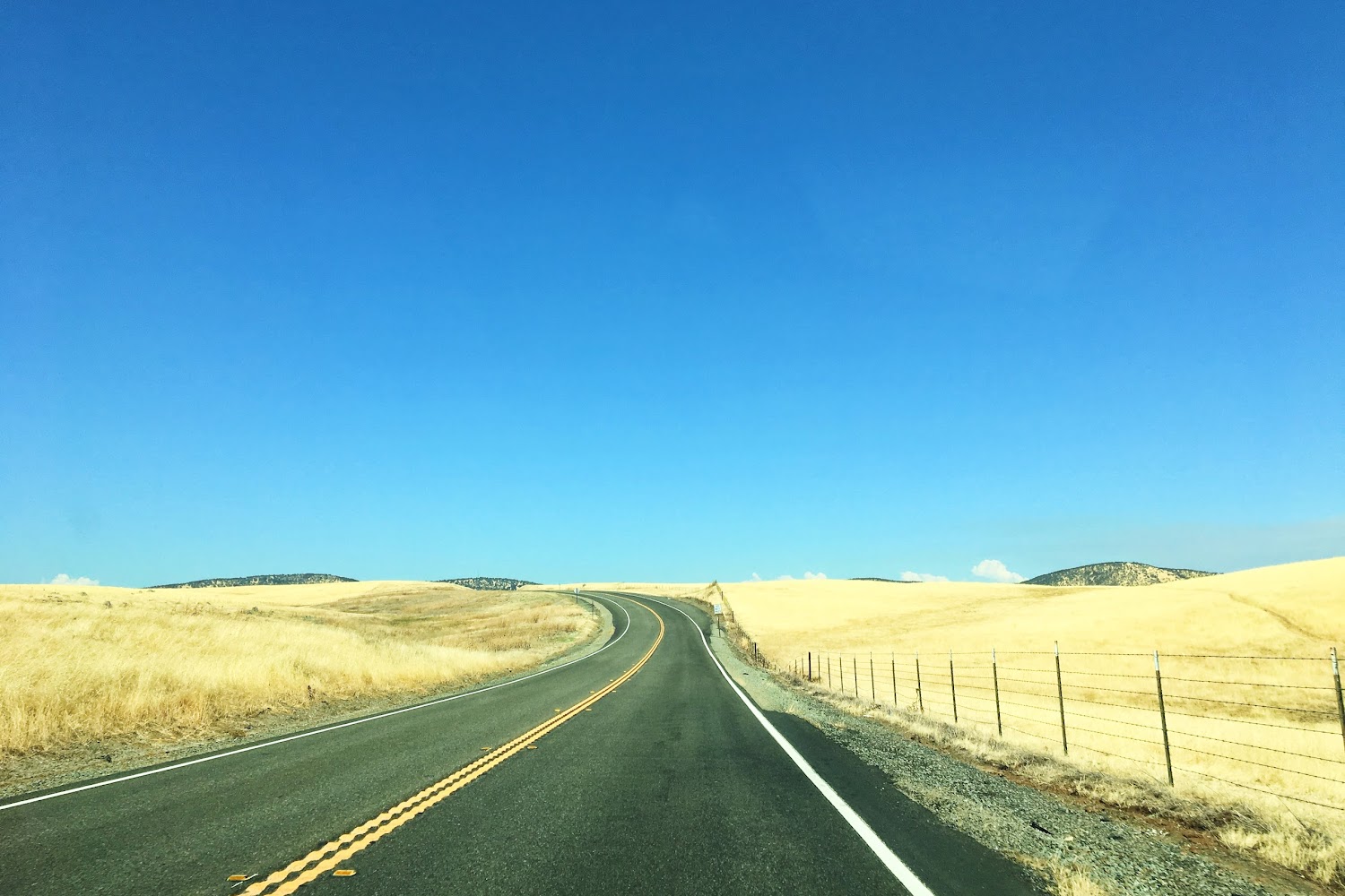 Humane Society of Calaveras County