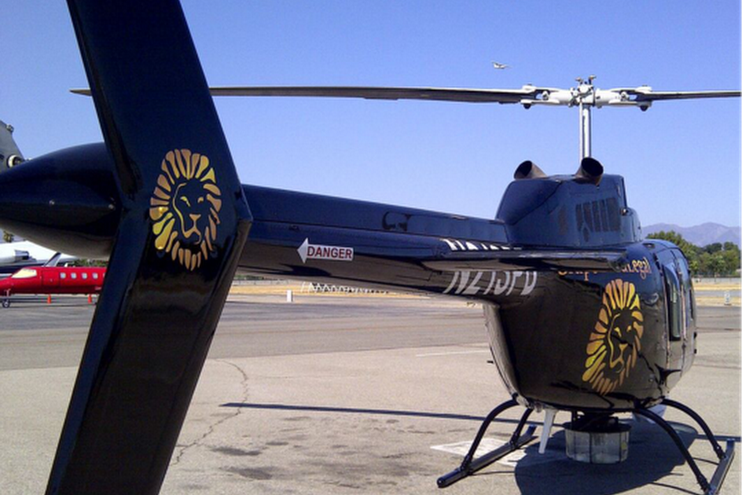 Good Dog Animal Rescue