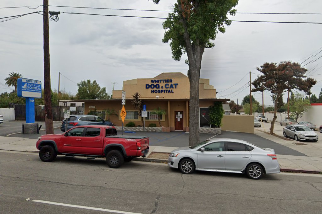 Whittier Dog & Cat Hospital