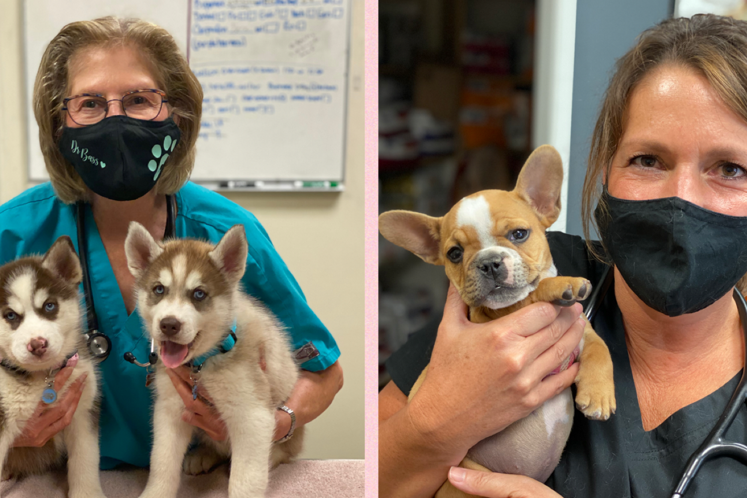 Zoe's Friends Animal Rescue