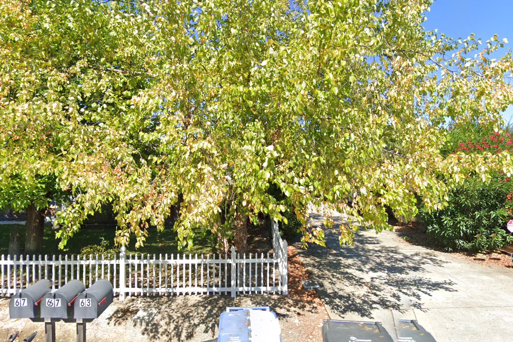 Windsor Animal Control