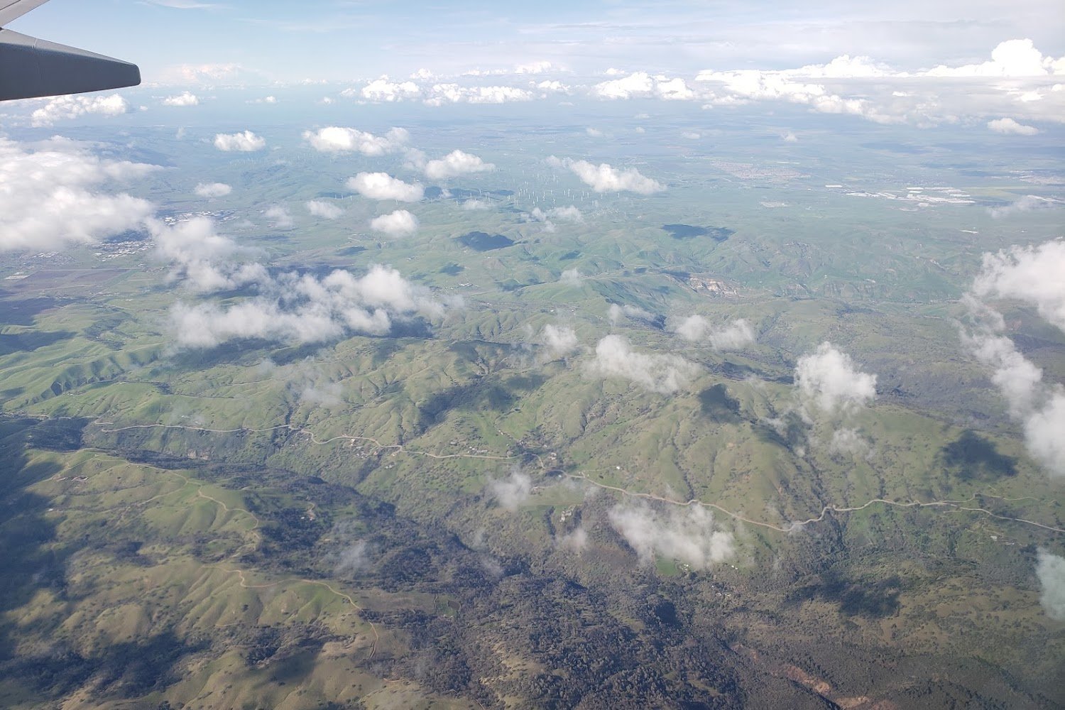 Romania Animal Rescue, Inc.