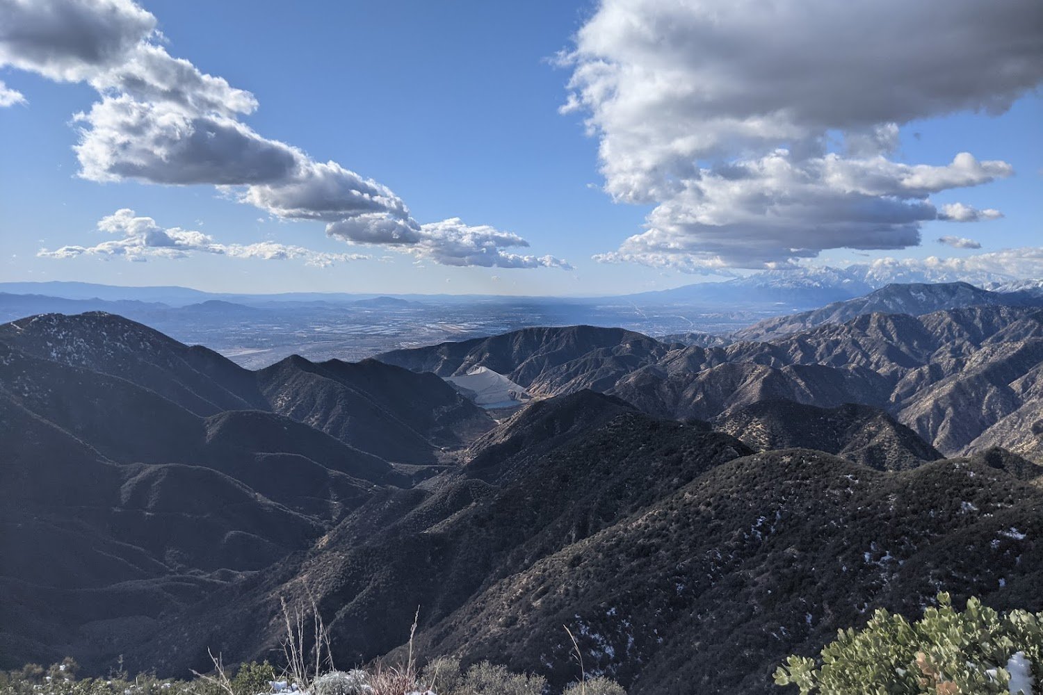 Benevolent Animal Rescue Committee