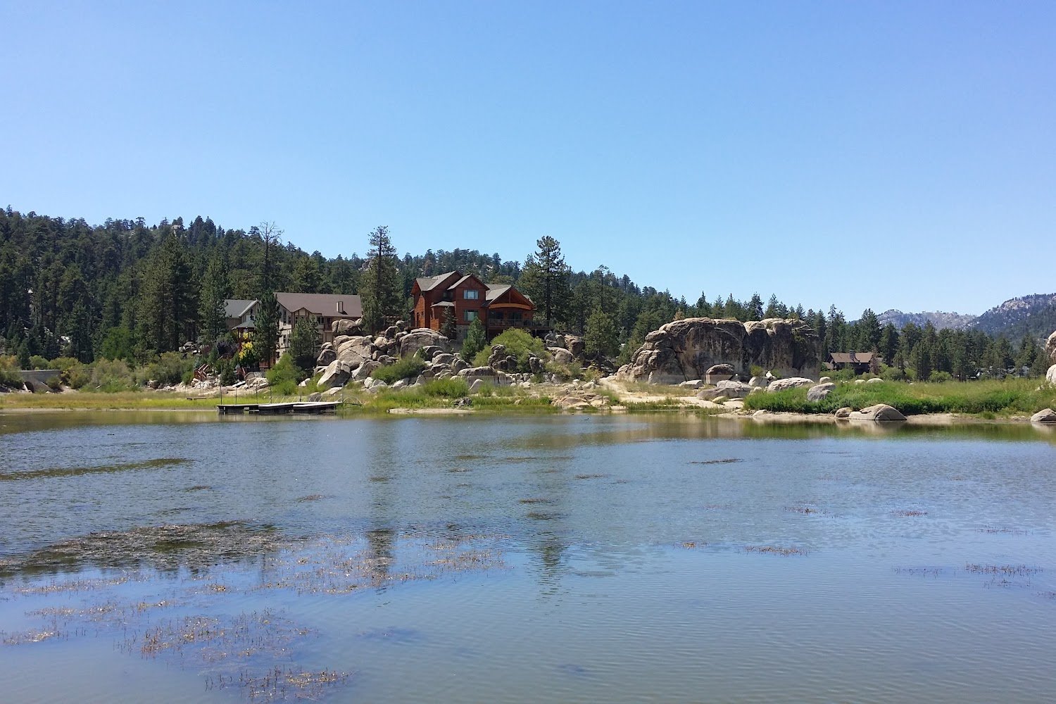 Big Bear Valley Humane Society